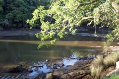 scenic_river