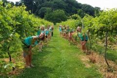 teal-girls